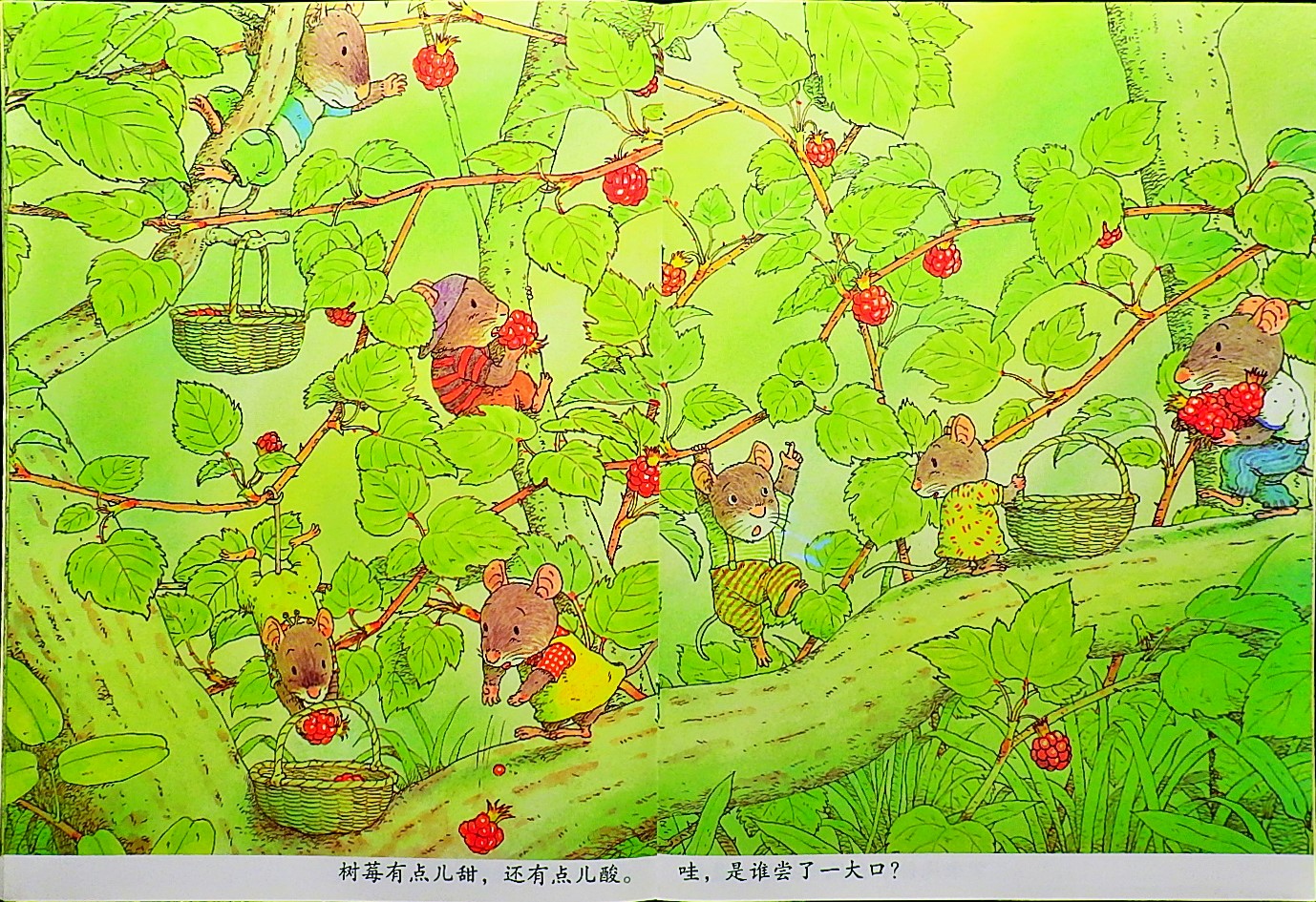 14只老鼠吃早餐 (10),绘本,绘本故事,绘本阅读,故事书,童书,图画书,课外阅读